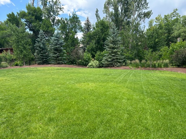 Photo 36
